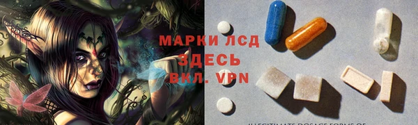 соль ск Новодвинск