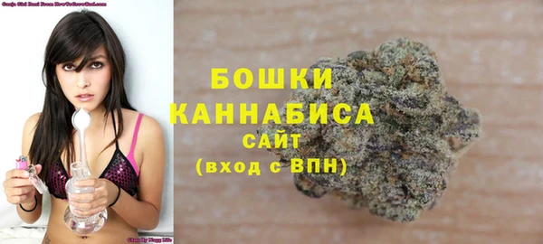 соль ск Новодвинск